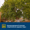 Международный конкурс «Европейское дерево года – 2021»